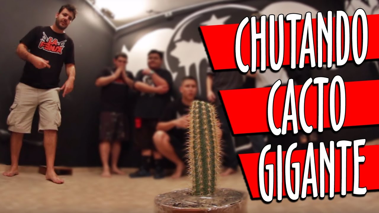 Futebol com Cactos Feat INSANOS | Desafio THE LAZY GENERATION
