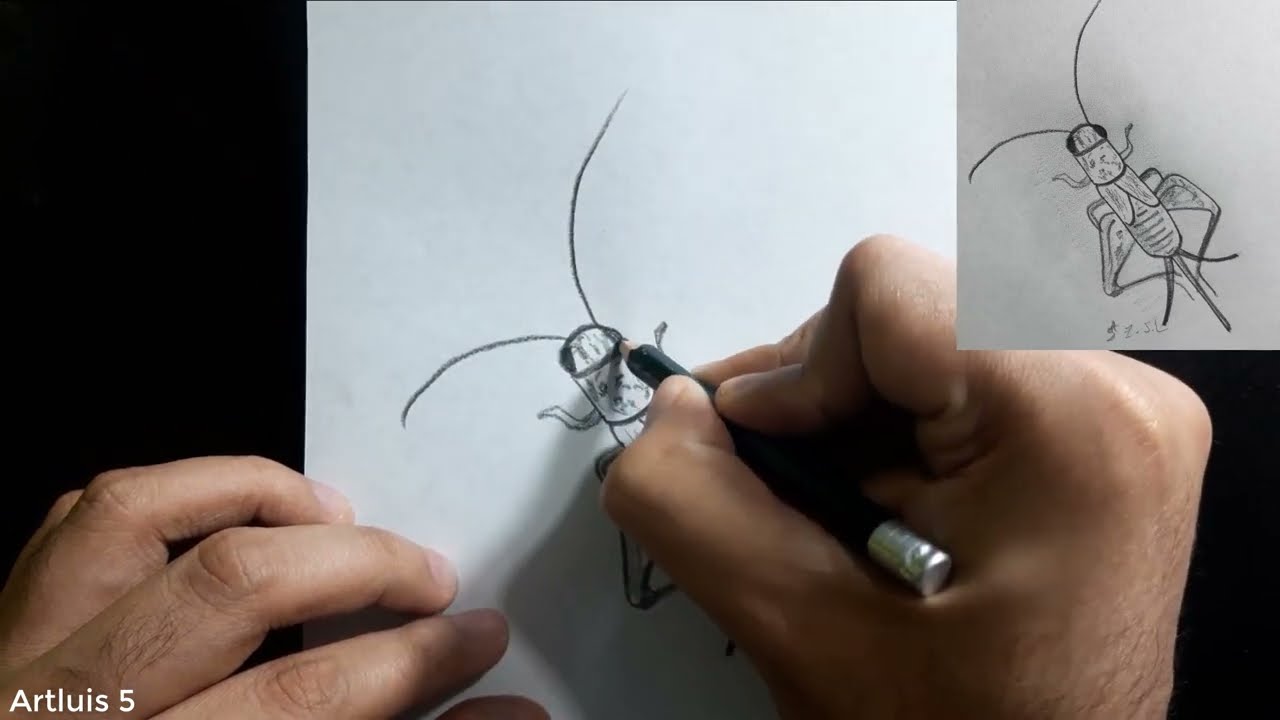 Como desenhar um GRILO?