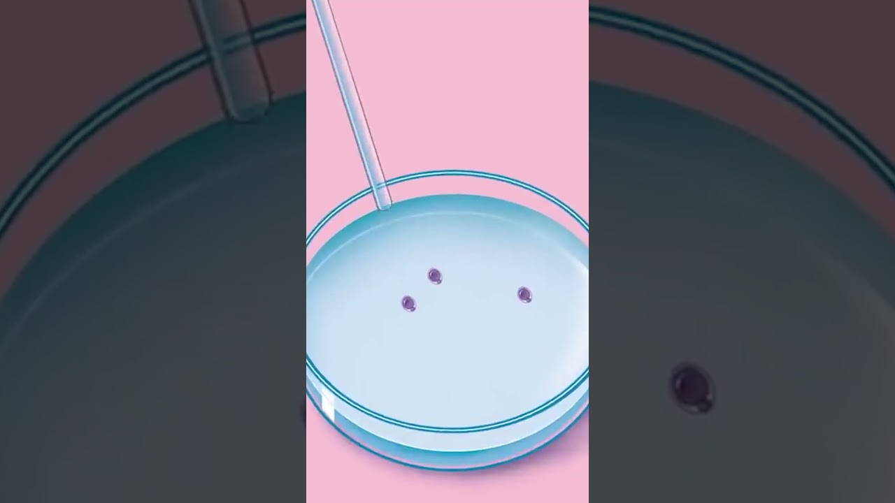 How Many Days Does IVF Treatment Take?