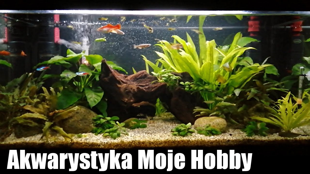 Czyszczenie bardzo brudnego filtra
