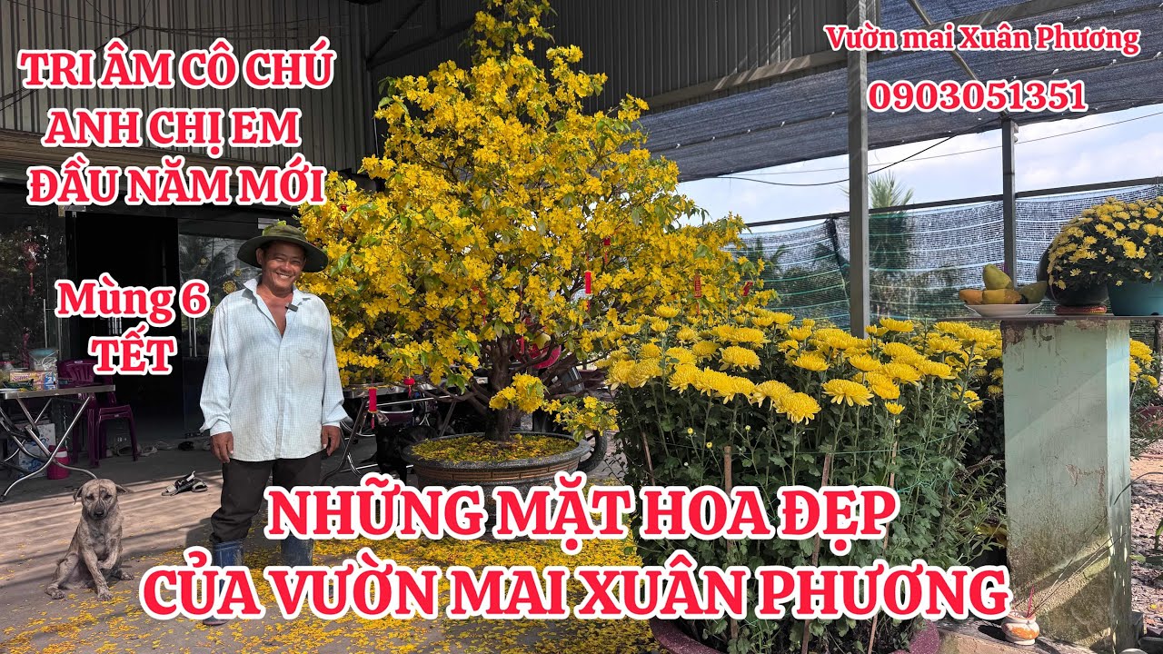 TRI ÂM CÔ CHÚ ANH CHỊ EM ĐẦU XUÂN NĂM MỚI-NHỮNG MẶT HOA ĐEP CỦA VƯỜN MAI XUÂN PHƯƠNG 
