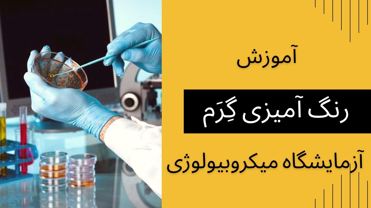 روش آزمایشگاهی رنگ آمیزی گرم در میکروبیولوژی