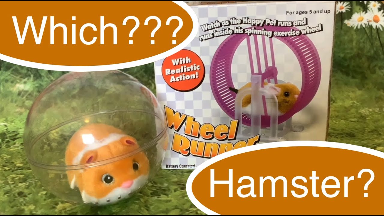 ABL Happy Hamster Wheel Runner Unboxing Demonstration, Review & Comparison with ZURU Hamster Pet