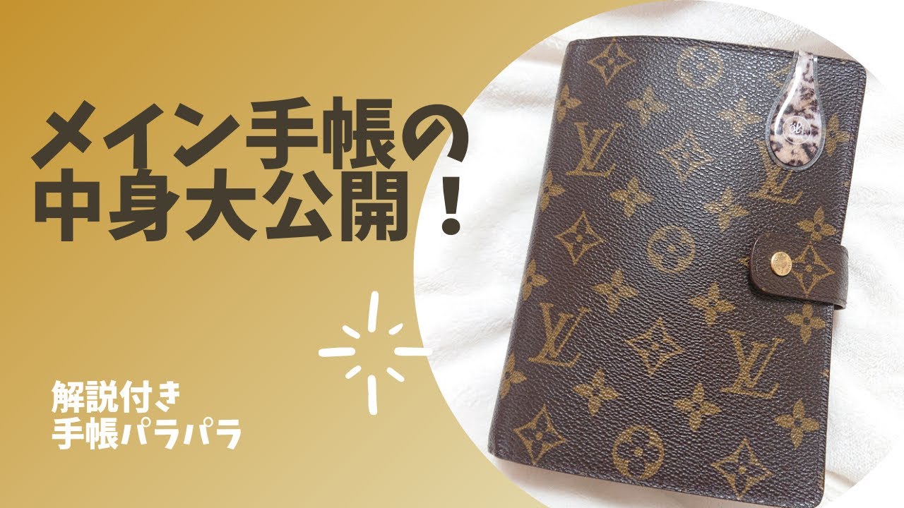 【解説付き手帳パラパラ】メイン手帳の中身を大公開😆‼️💖✨