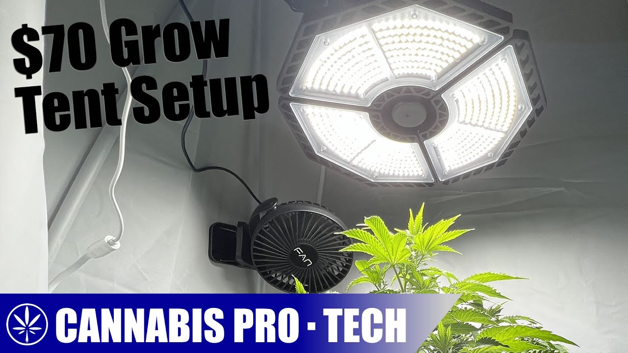 Building the CHEAPEST Grow Tent Setup Possible