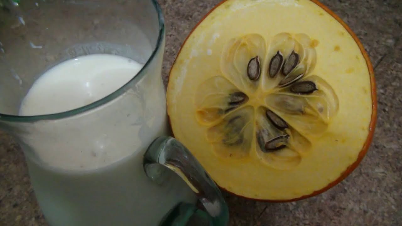 Cómo hacer un rico yogurt de melocotón