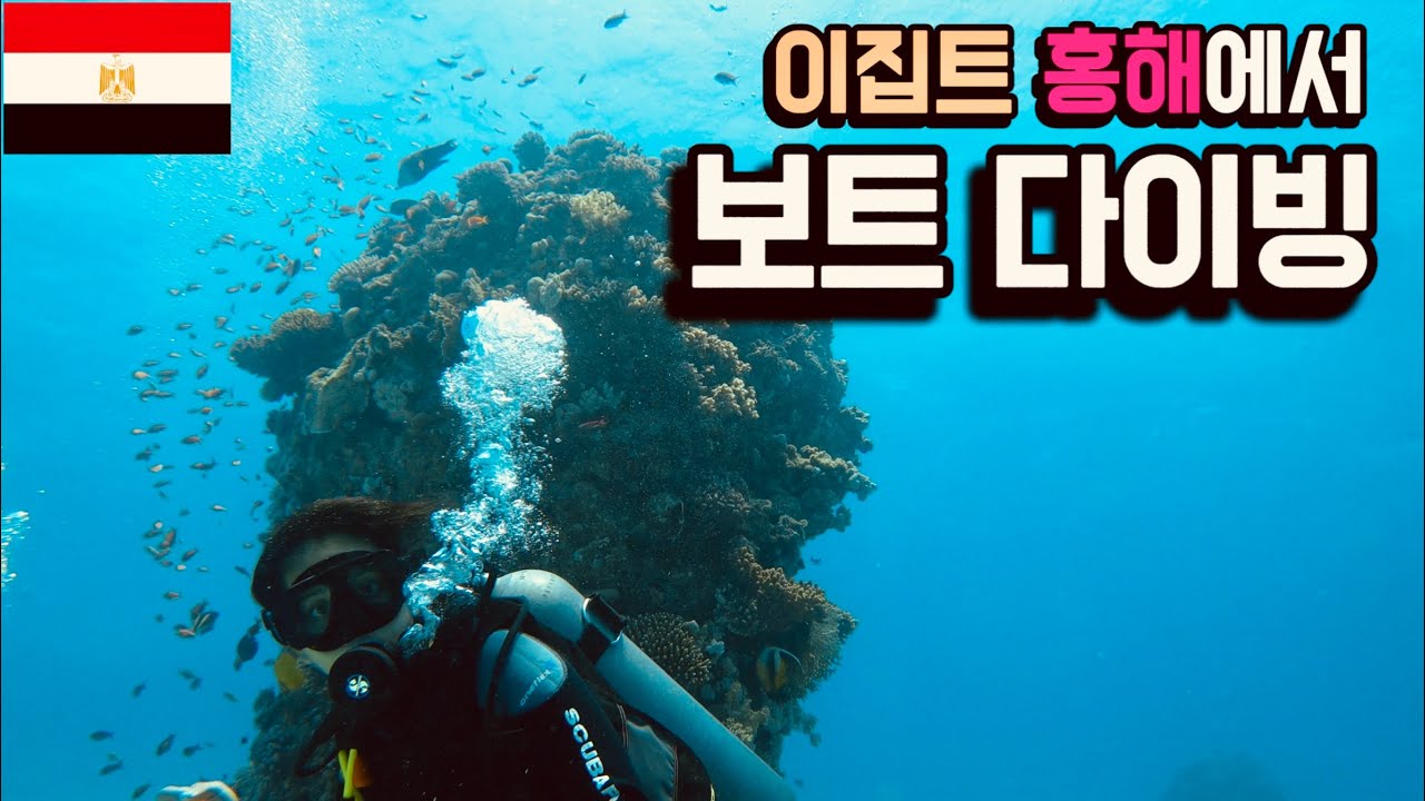 홍해에서 스쿠버 다이빙 자격증 따기 - 이집트 후르가다 🇪🇬 [세계여행 54]