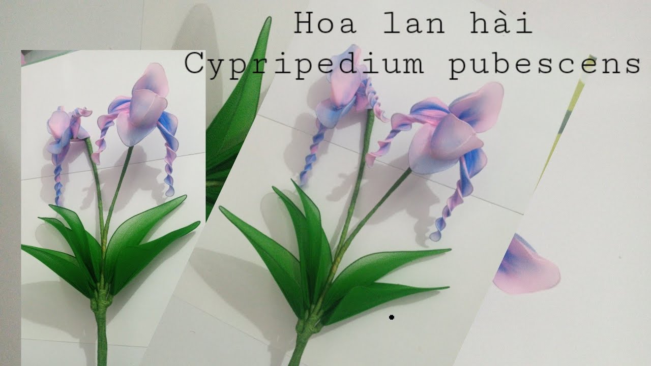 Hướng dẫn làm hoa lan hài bằng vải voan / how to make Cypripedium pubescens flower chiffon fabric