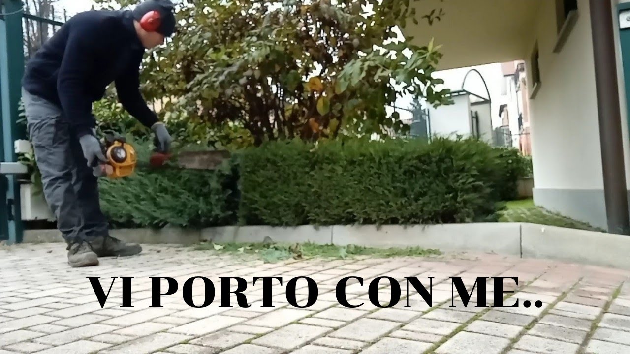 POTATURE ARBUSTI | CESPUGLI