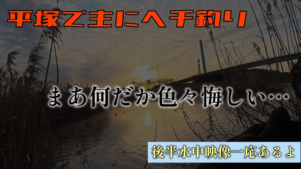 [1月31日]平塚で主にヘチ釣り／まあ何だか色々悔しい#fishing #ヘチ釣り 
