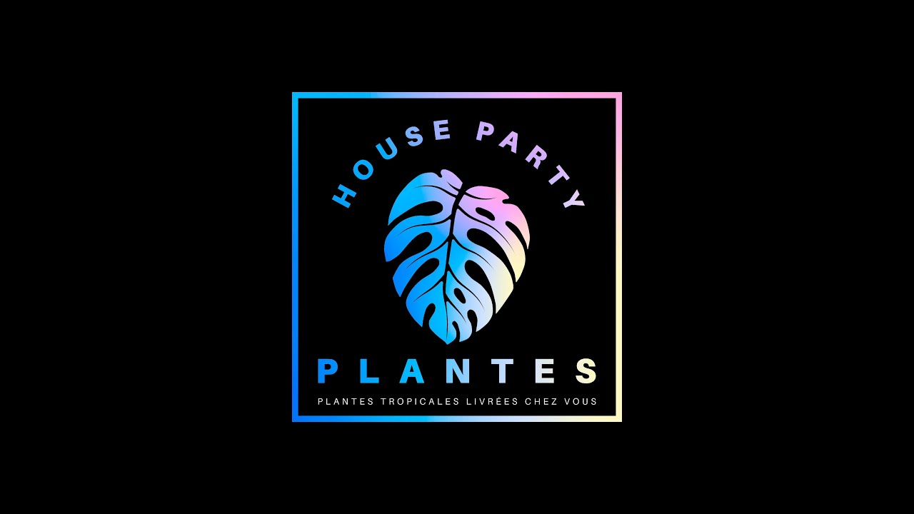 Philodendron pastazanum silver