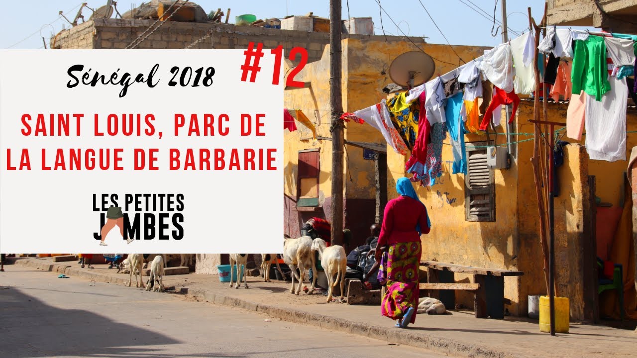 SÉNÉGAL 2018 - Jour 12 : Saint Louis et le parc de la langue de Barbarie