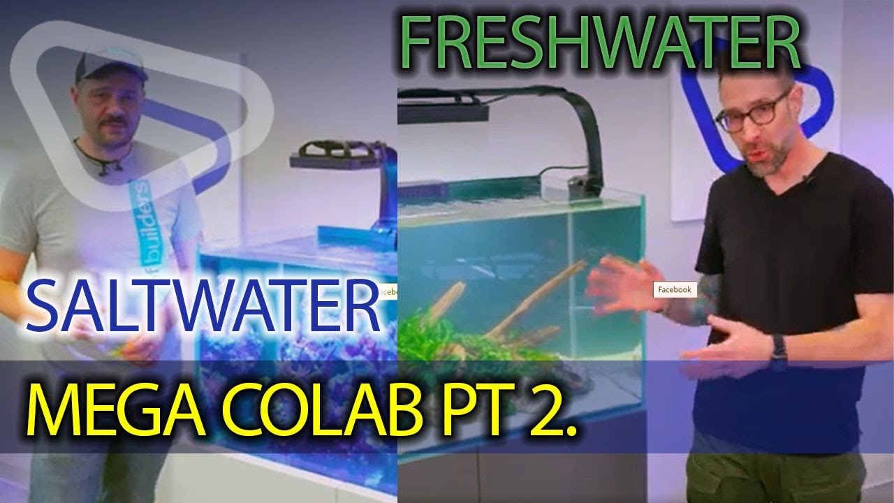 Pt. 4 Baller Tanks in Two Days !  Mega Collab. @ReefBuildersVideo @AquariumDesignGroup @nyosaquatics