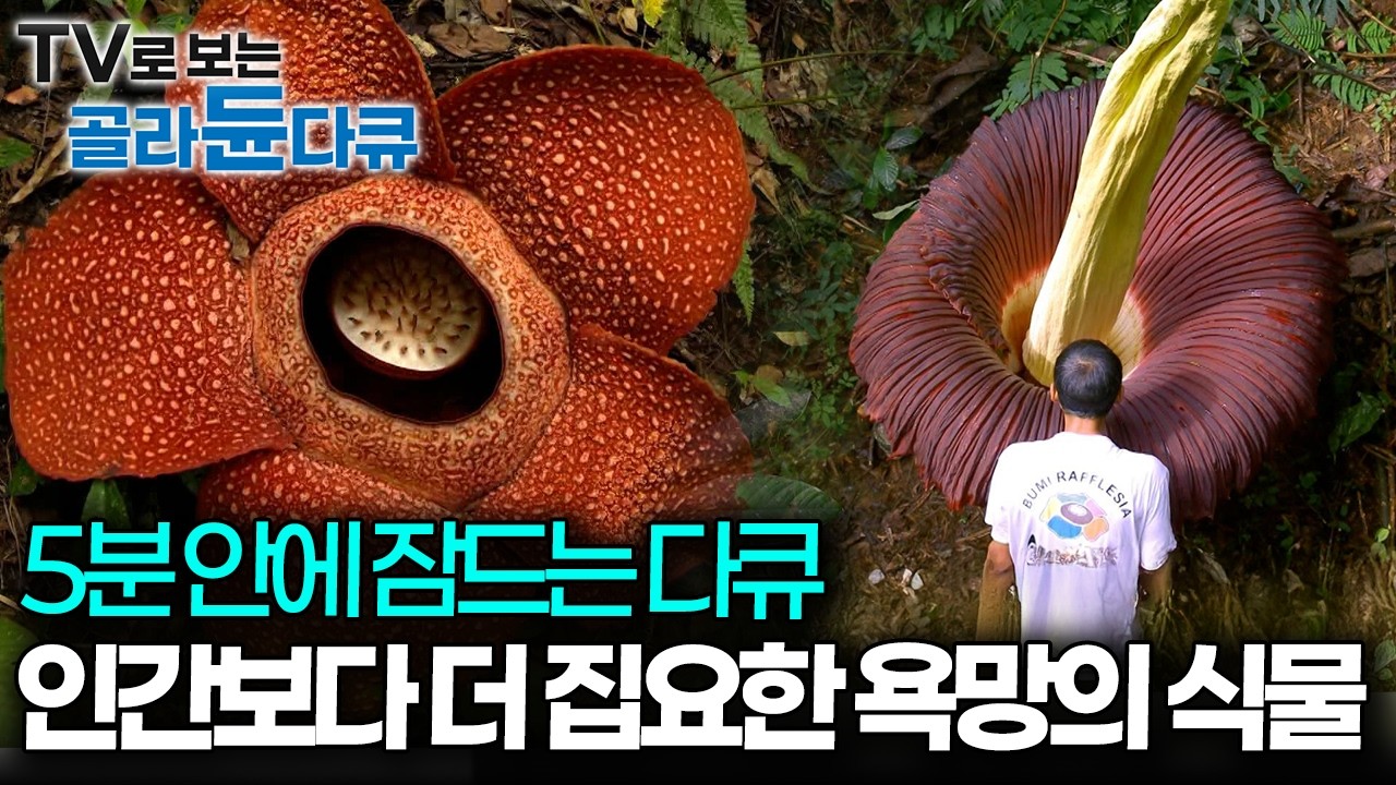 식물에게도 식욕·성욕·수면욕이 있다, 지구상 어떤 생명체보다 ‘자손번식’의 욕구가 강한 식물｜다큐프라임｜#골라듄다큐