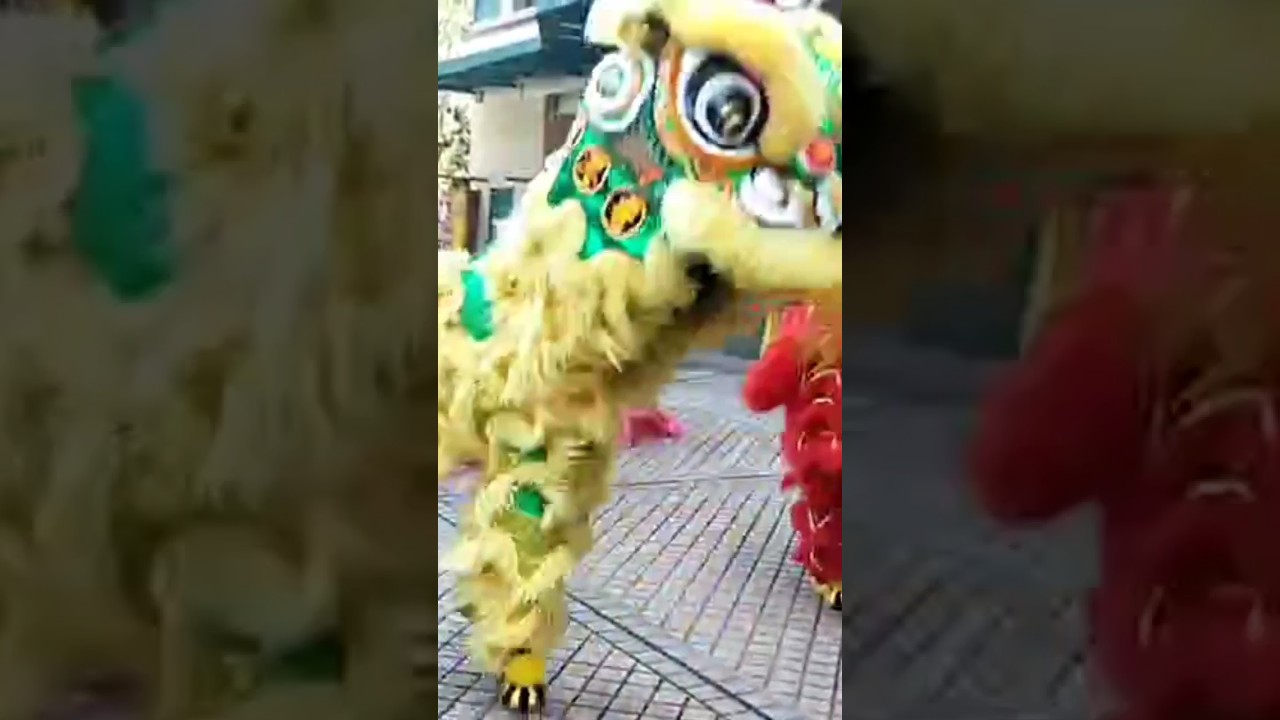 Lion dance CNY 2024 