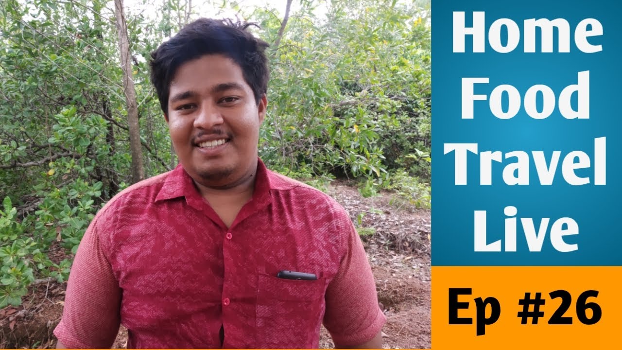Home Food Travel Live Stream // Comment Reply