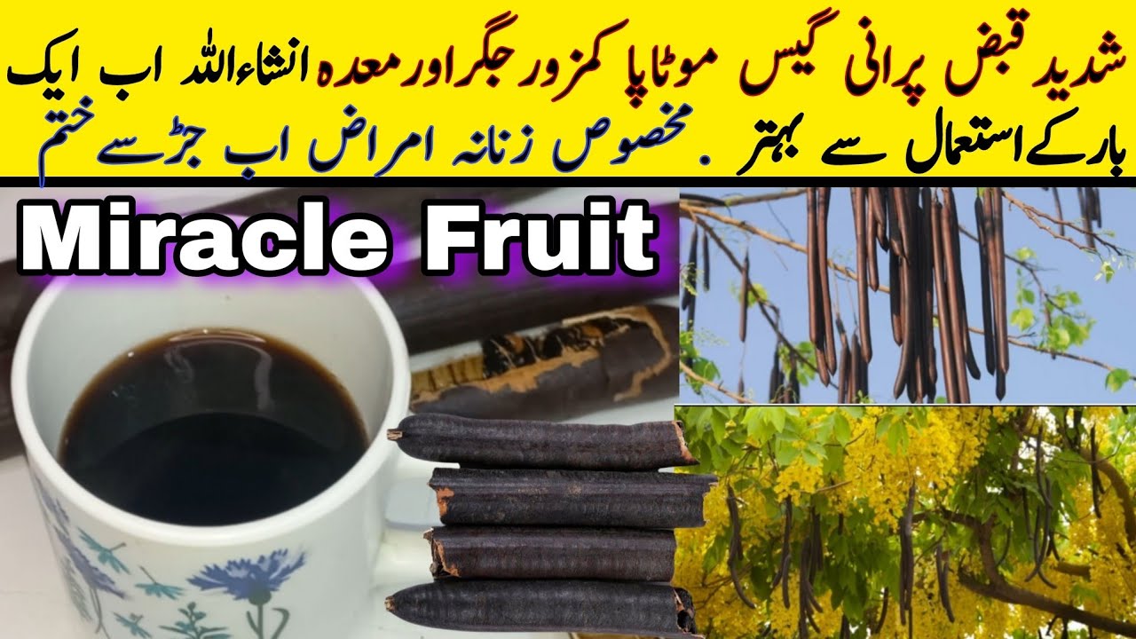 Amaltas ki Phali ke Fayde | Amaltas Ke Fayde | Amaltas ki Phali for hair growth |
