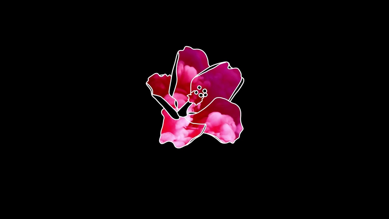 Bryson Tiller x Justin Bieber Type Beat | "Orchid" | Prod. GasLight