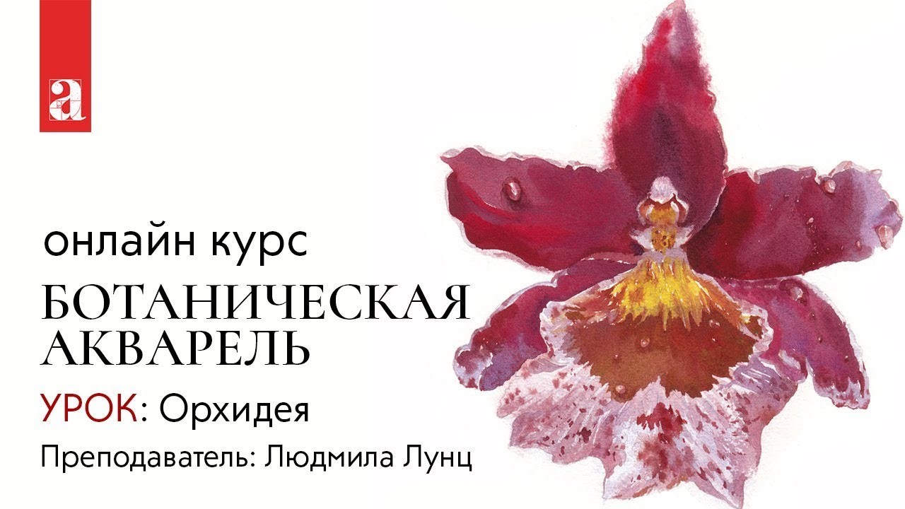 Урок «Орхидея» | Курс «Ботаническая акварель»
