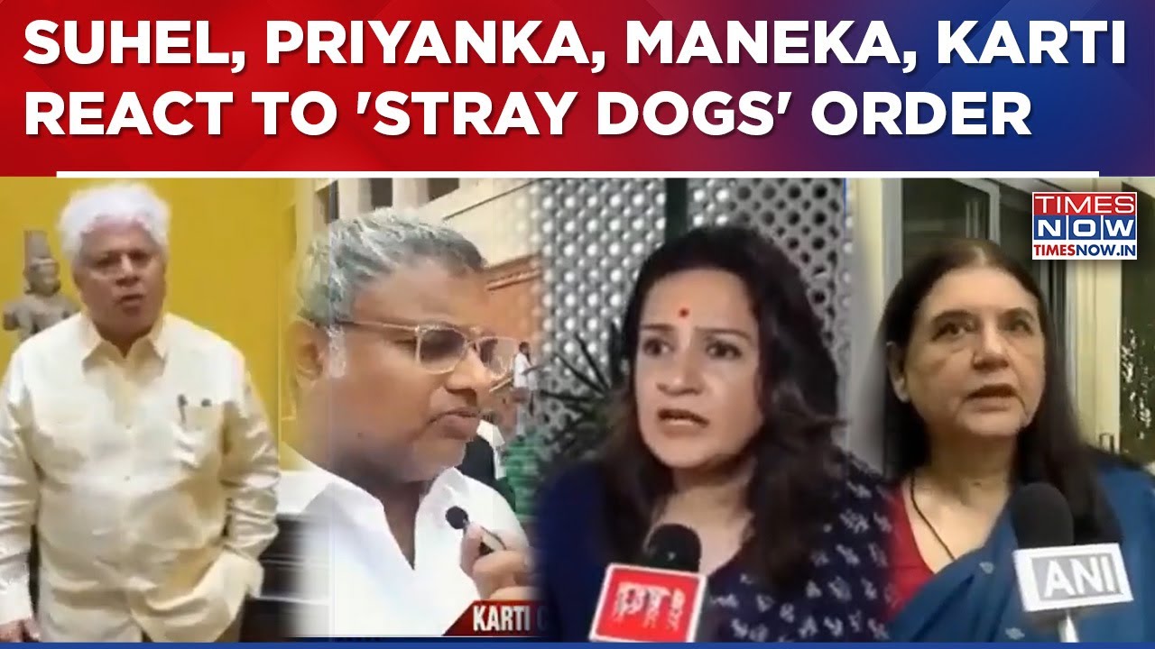 Suhel Seth, Priyanka Chaturvedi, Maneka Gandhi, Karti Chidambaram Speak On 'Stray Dogs' Order