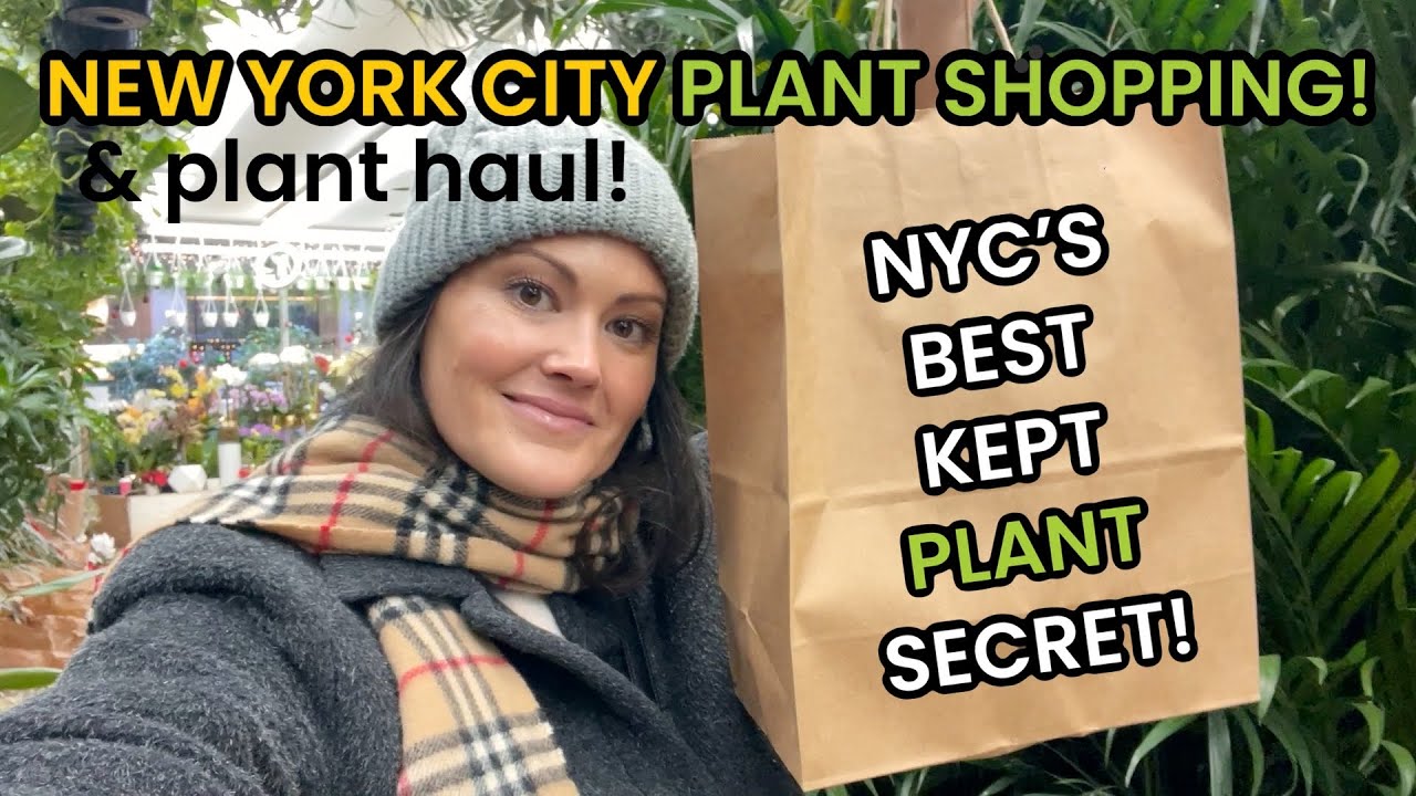 New York City's Best Kept Secret! Plant Shops In the Flower District - Plant Shopping & Plant Haul