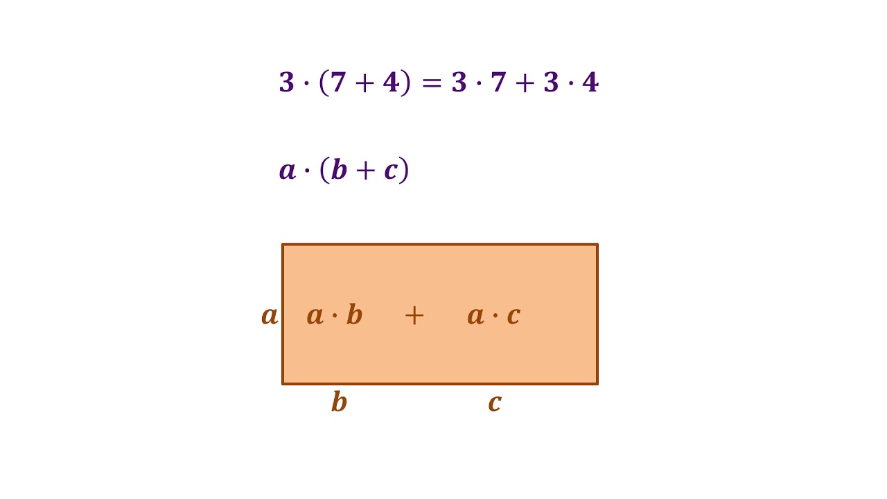Haakjes wegwerken 1: a(b+c)=ab+ac