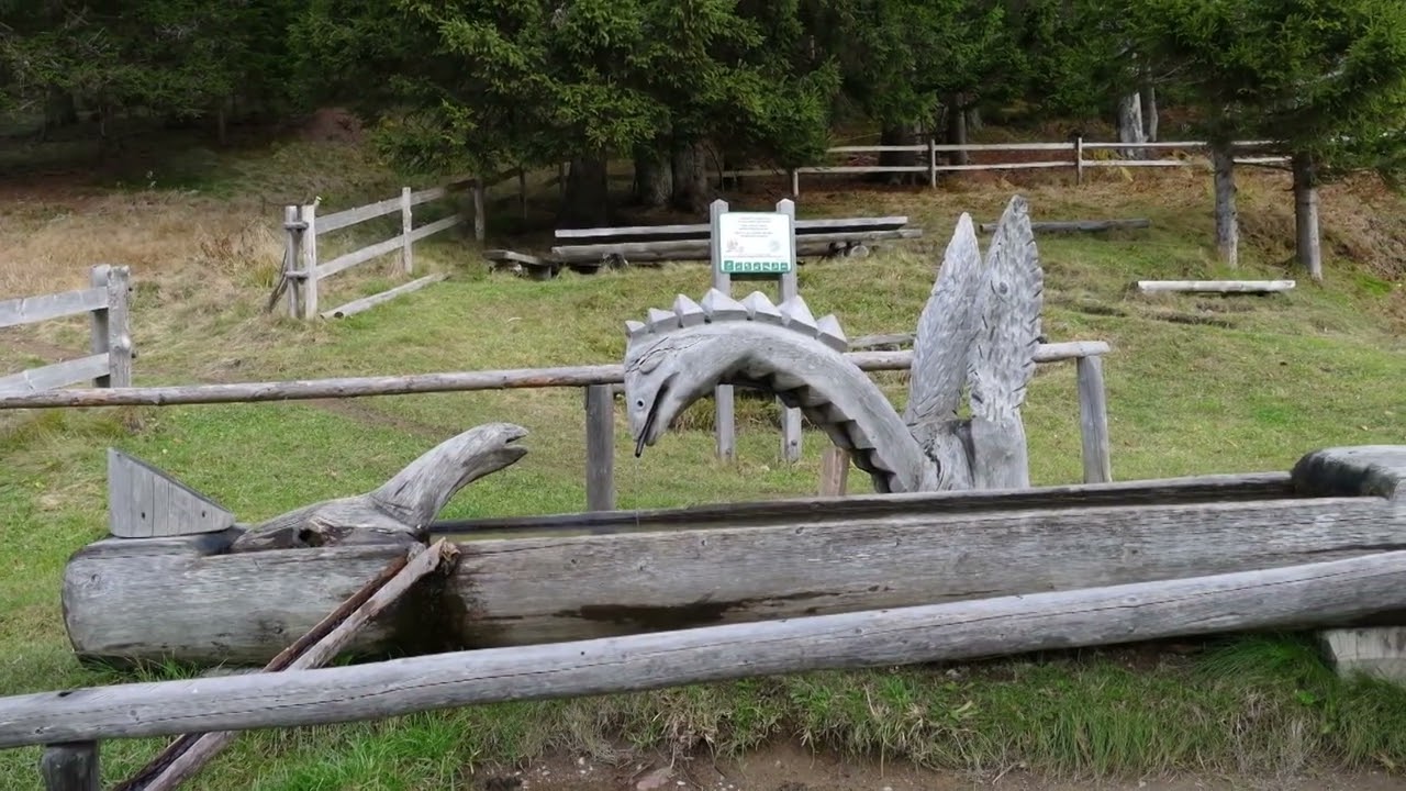SMREKOVEC jeseni