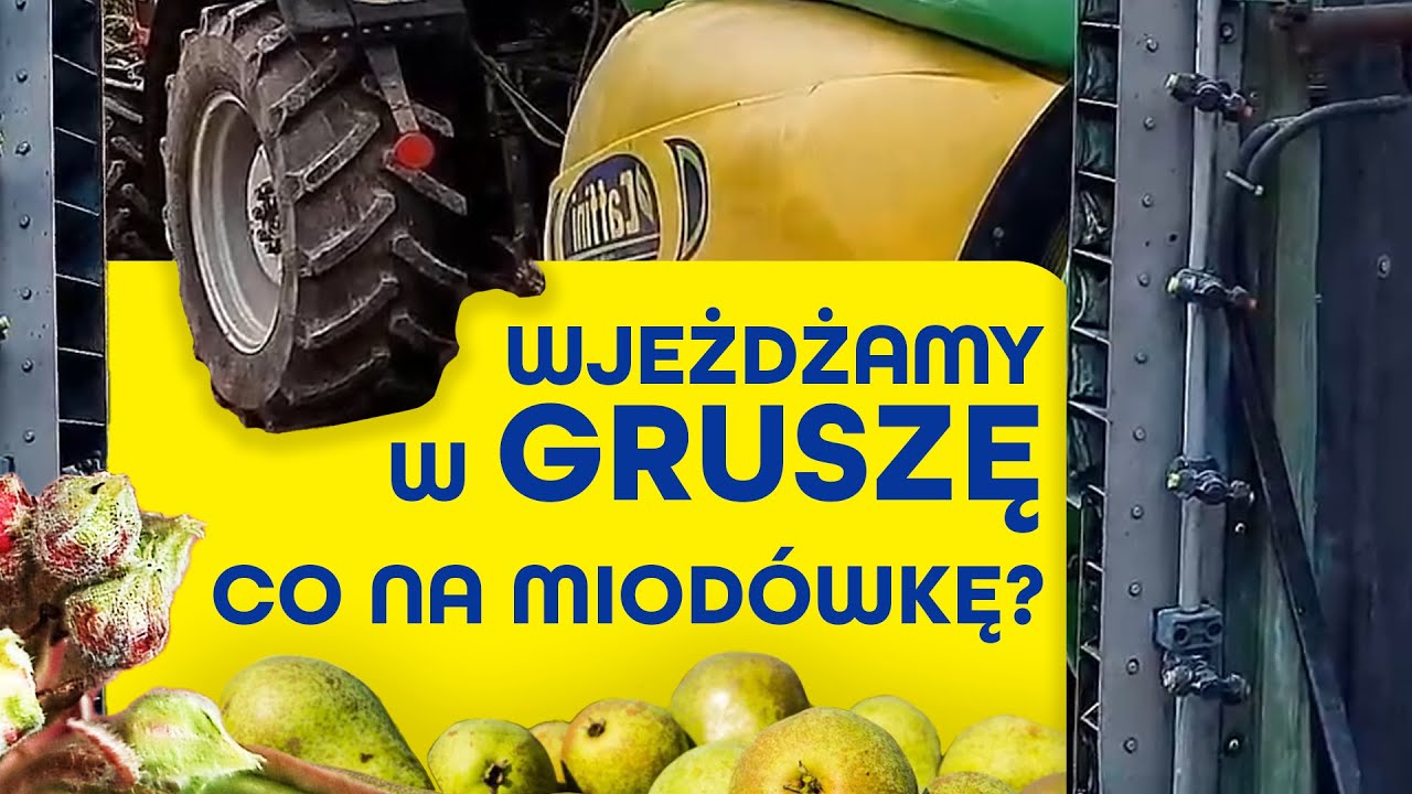 Co stosować na miodówkę, wzdymacza gruszowego i bakterię Pseudomonas?