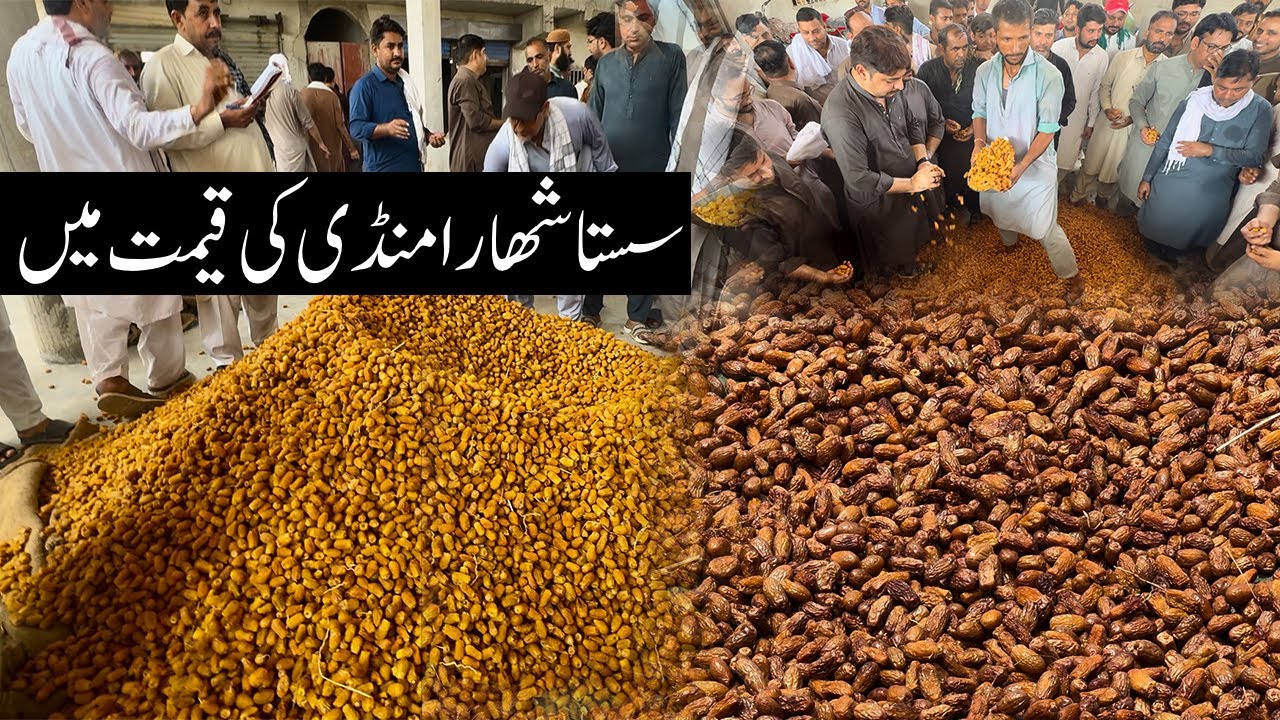 Shuhara Dates Khajoor Saste Rates Mey | Khairpur Sukkur Mandi
