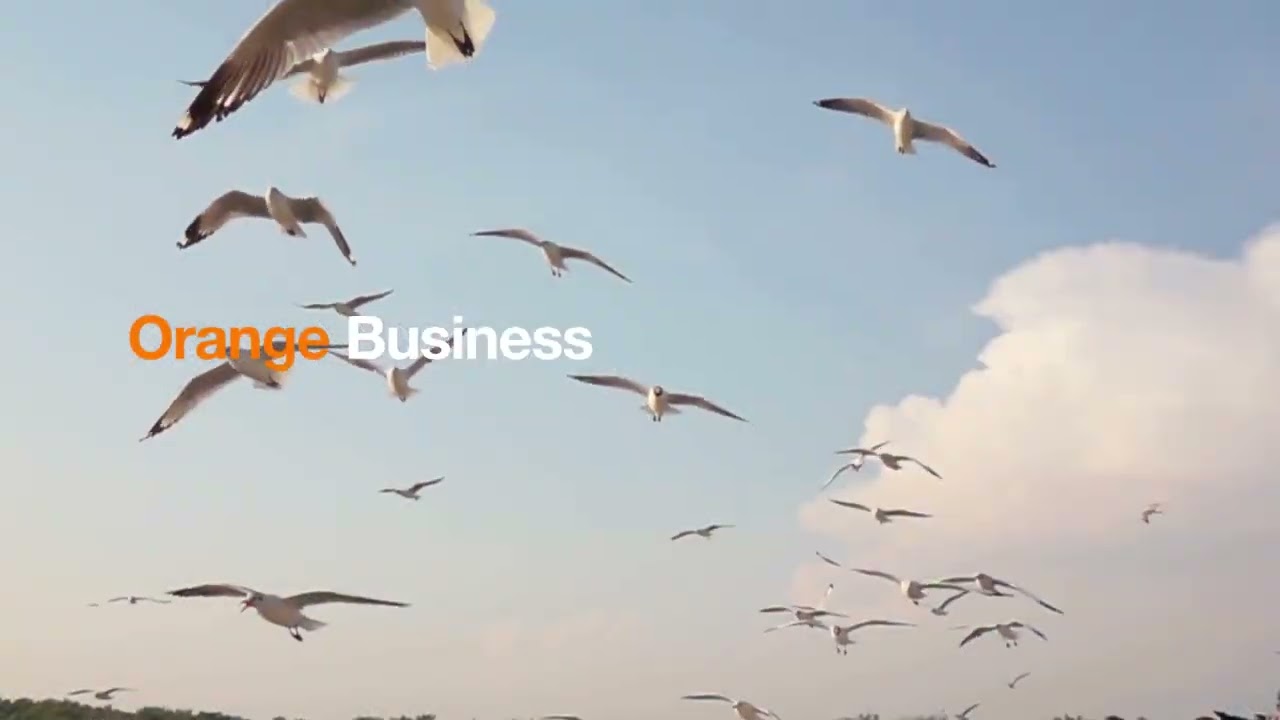 Orange Business is committed to protecting, connecting and innovating to achieve sustainability