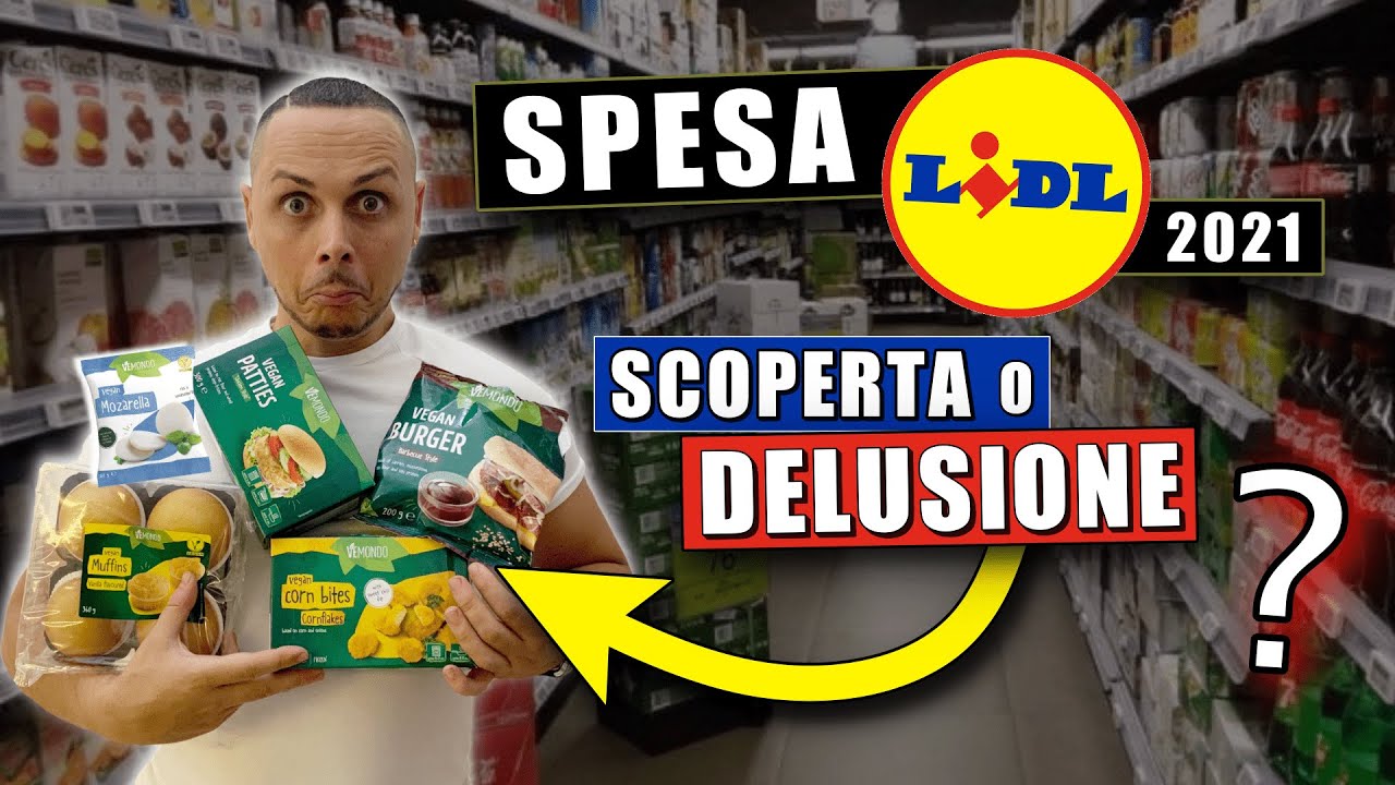 SPESA LIDL : SONO SCONVOLTO !!! (Seconda Parte) - Video di Giorgio Immesi