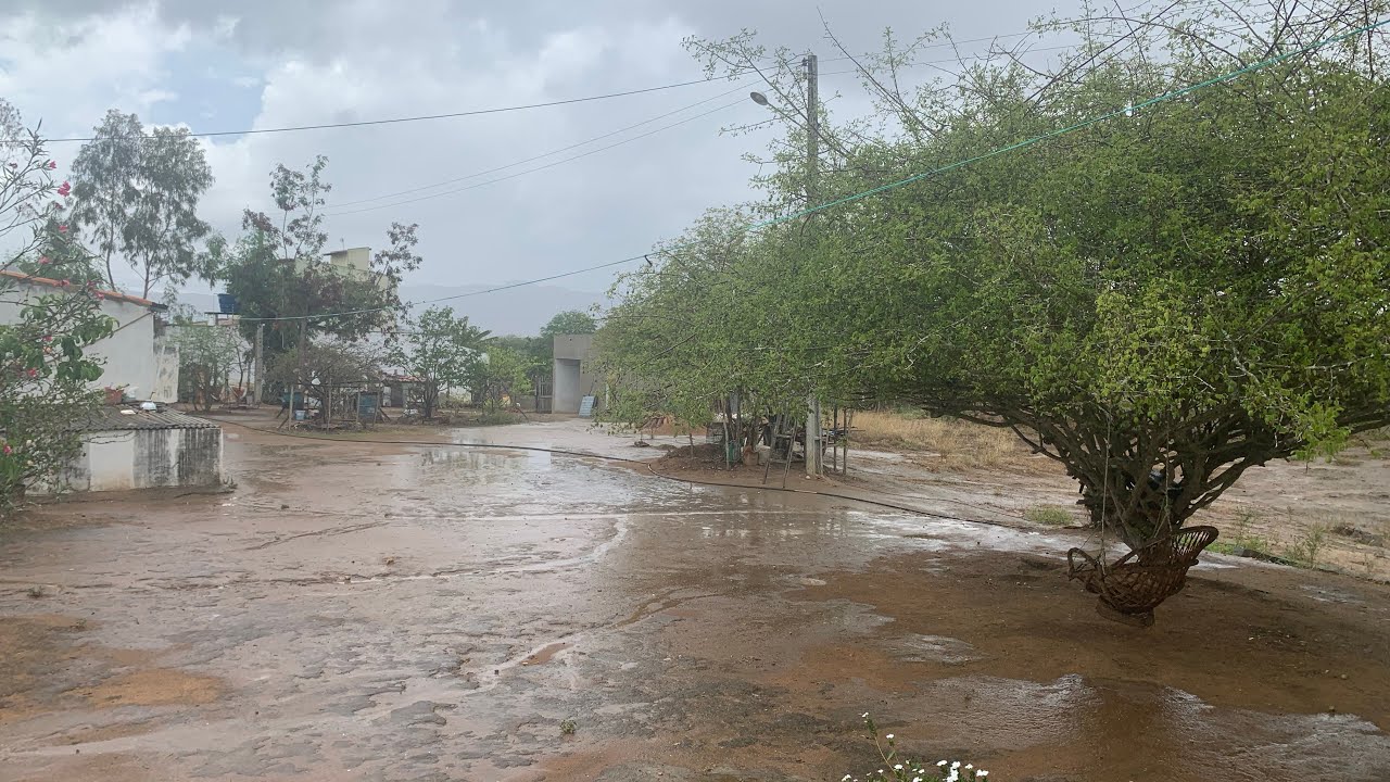 As primeiras chuvas do ano na nossa região 