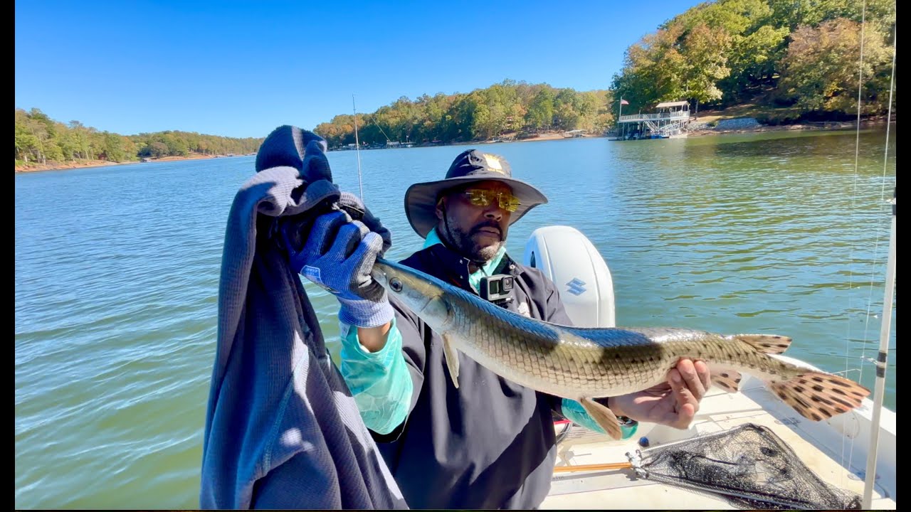 LET'S CATCH BIG FISH! (Country Style)