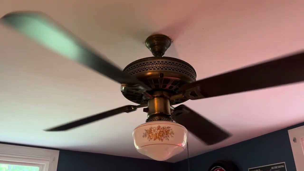 Ceiling fans in my house 4