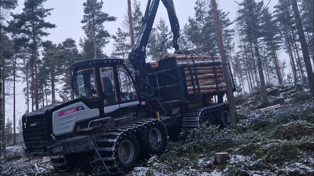 Logset 6f Kör i tall gallring