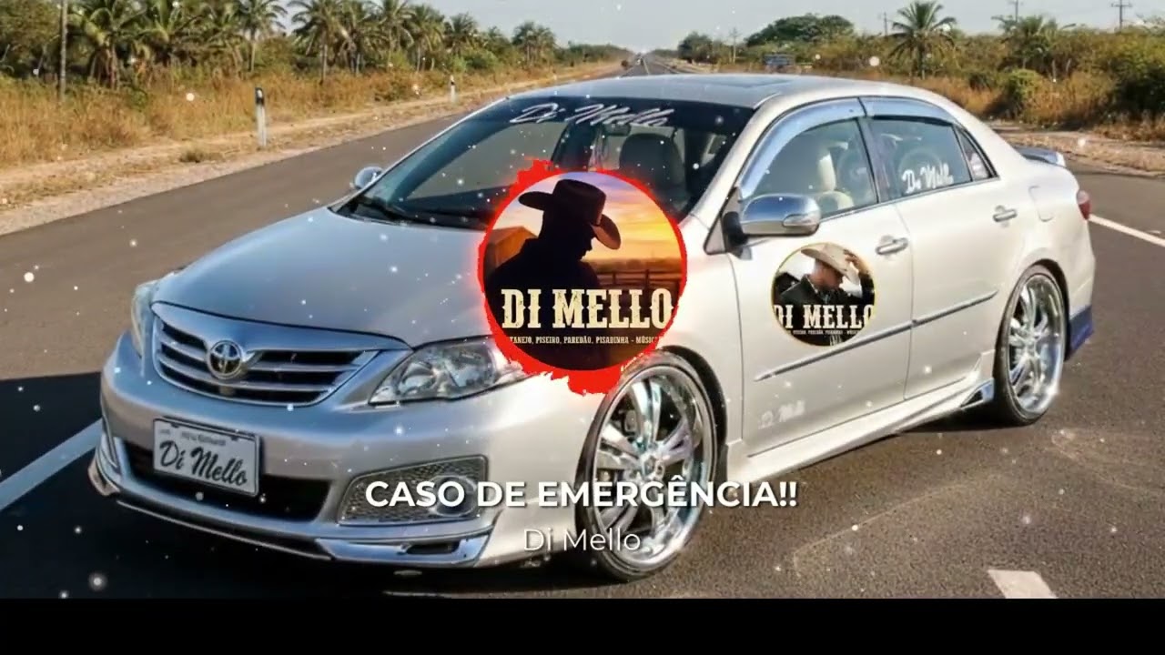 Caso de Emergência! [ Di Mello ]