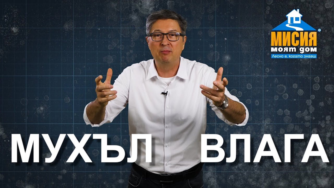 Борба с мухъла | Мисия Моят Дом