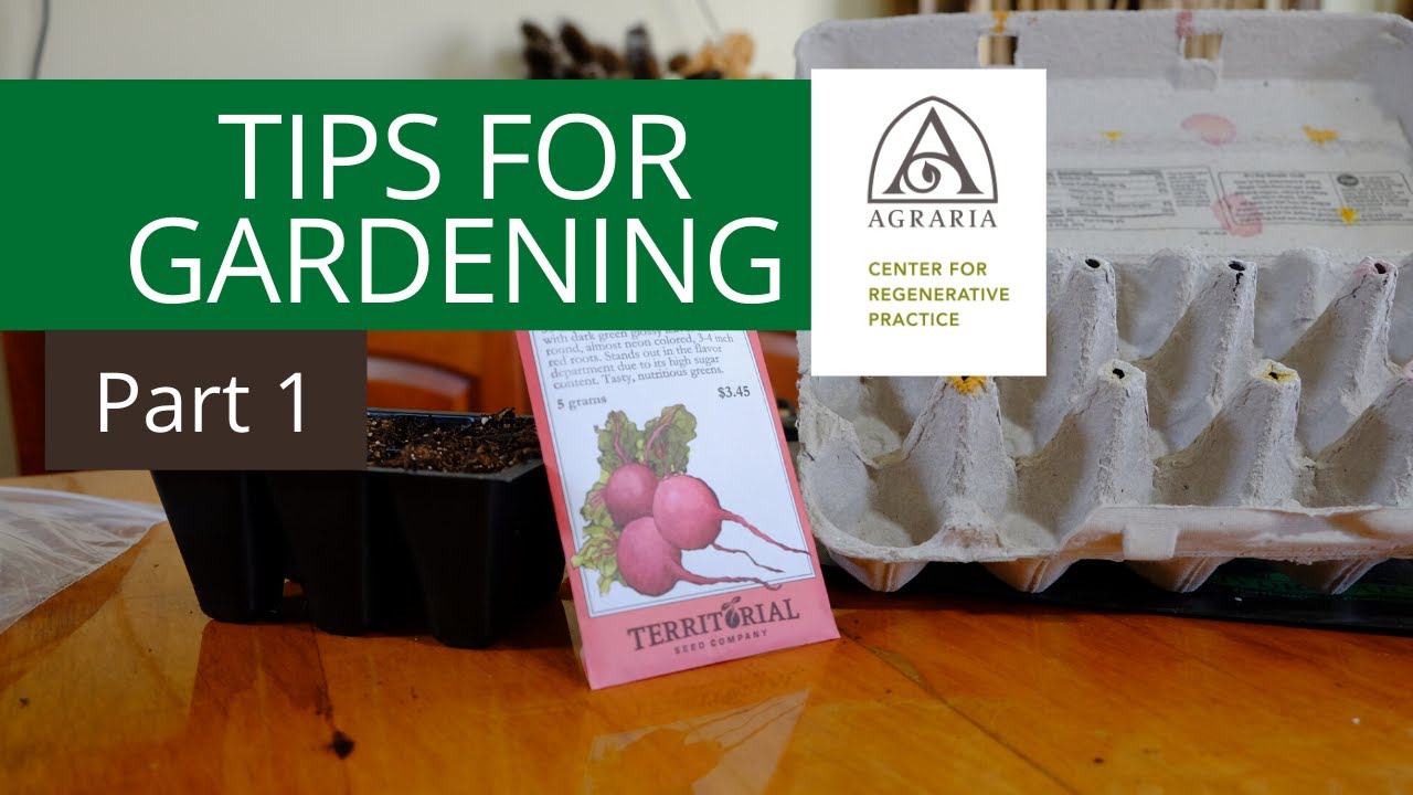 Tips for Gardening - Part 1