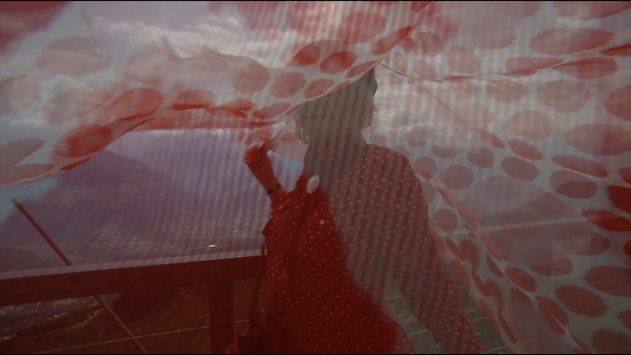 Diane Tell - Vie