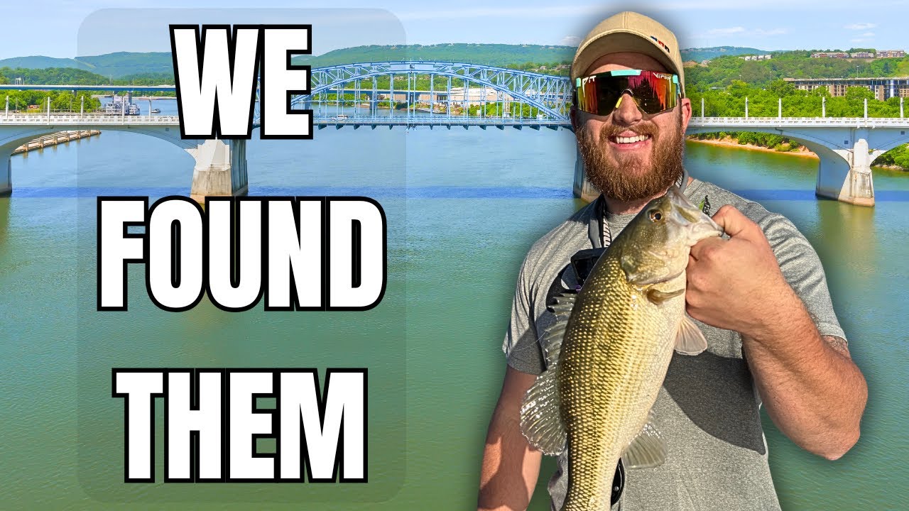 The Tennessee River Finally Gave Up Some Bass
