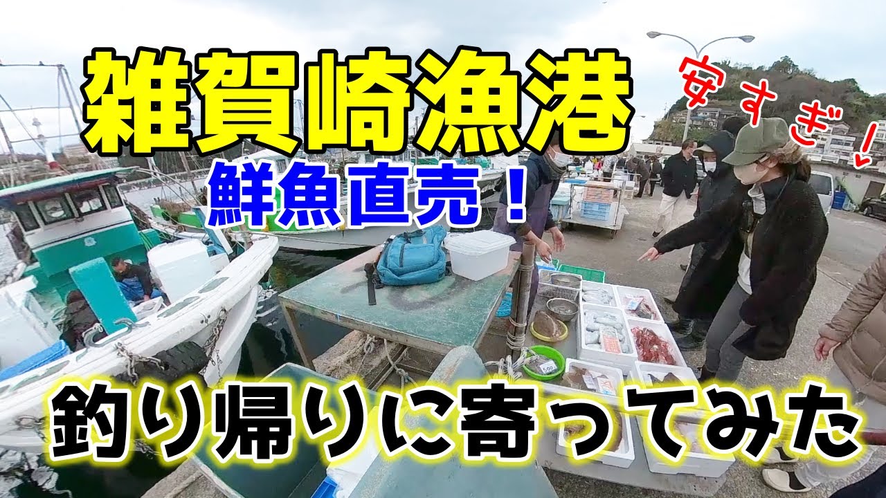 和歌山【雑賀崎漁港】足赤エビは毎回買っちゃう♪激安で鮮魚が買える幸せ♡鮮魚直売はやっぱり楽しい！