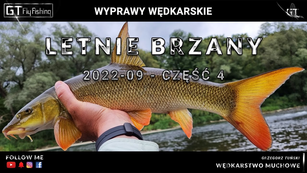 Letnie brzany na muchę - BASIEŃKI - cz.4