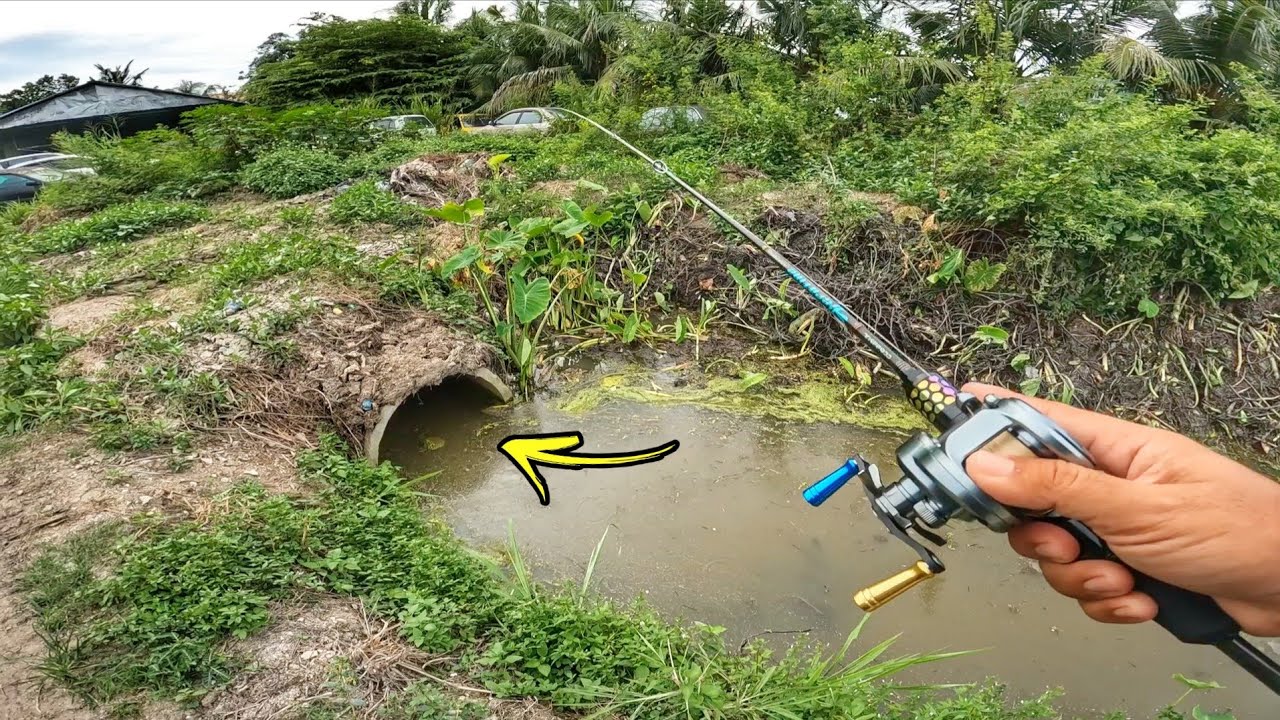 Adakah Ini Lubuk Tersembunyi? Ikan Makan TANPA HENTI!!