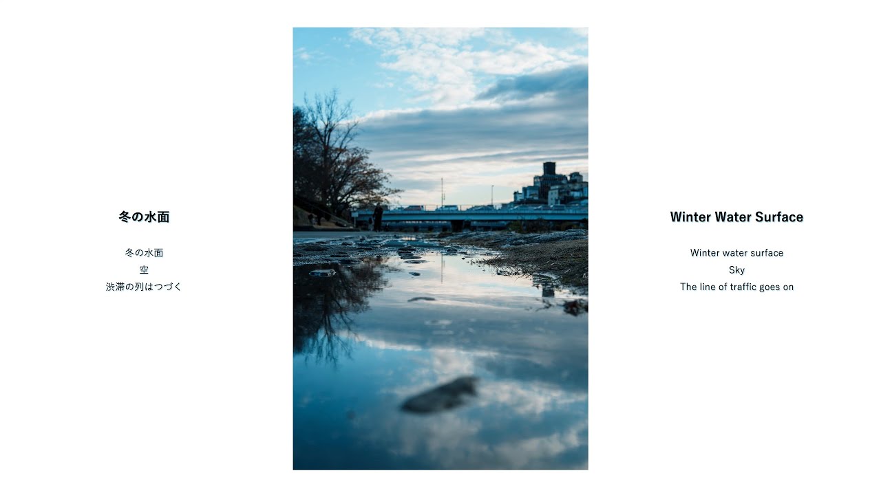 What I saw that day #54 冬の水面｜Winter Water Surface