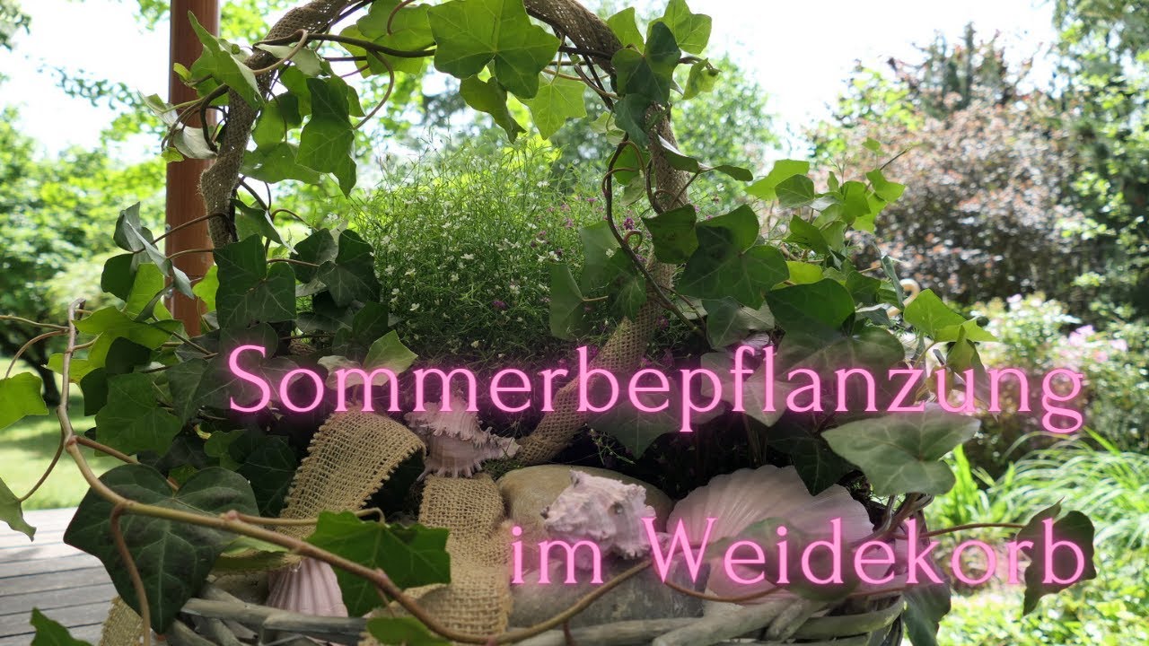 DIY Rankhilfe im Strandkorb mit Efeu & Schleierkraut |  Sommerbepflanzung mit Strandstimmung🐚⛱