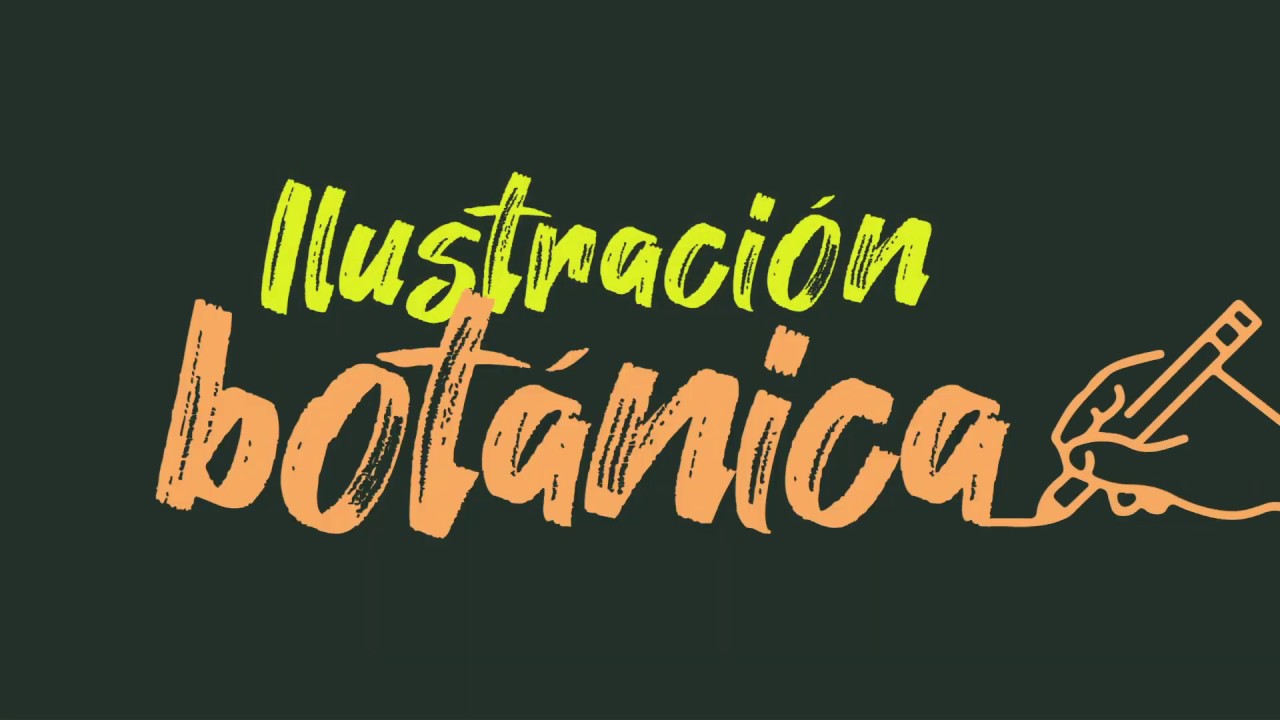 Ilustración Botánica