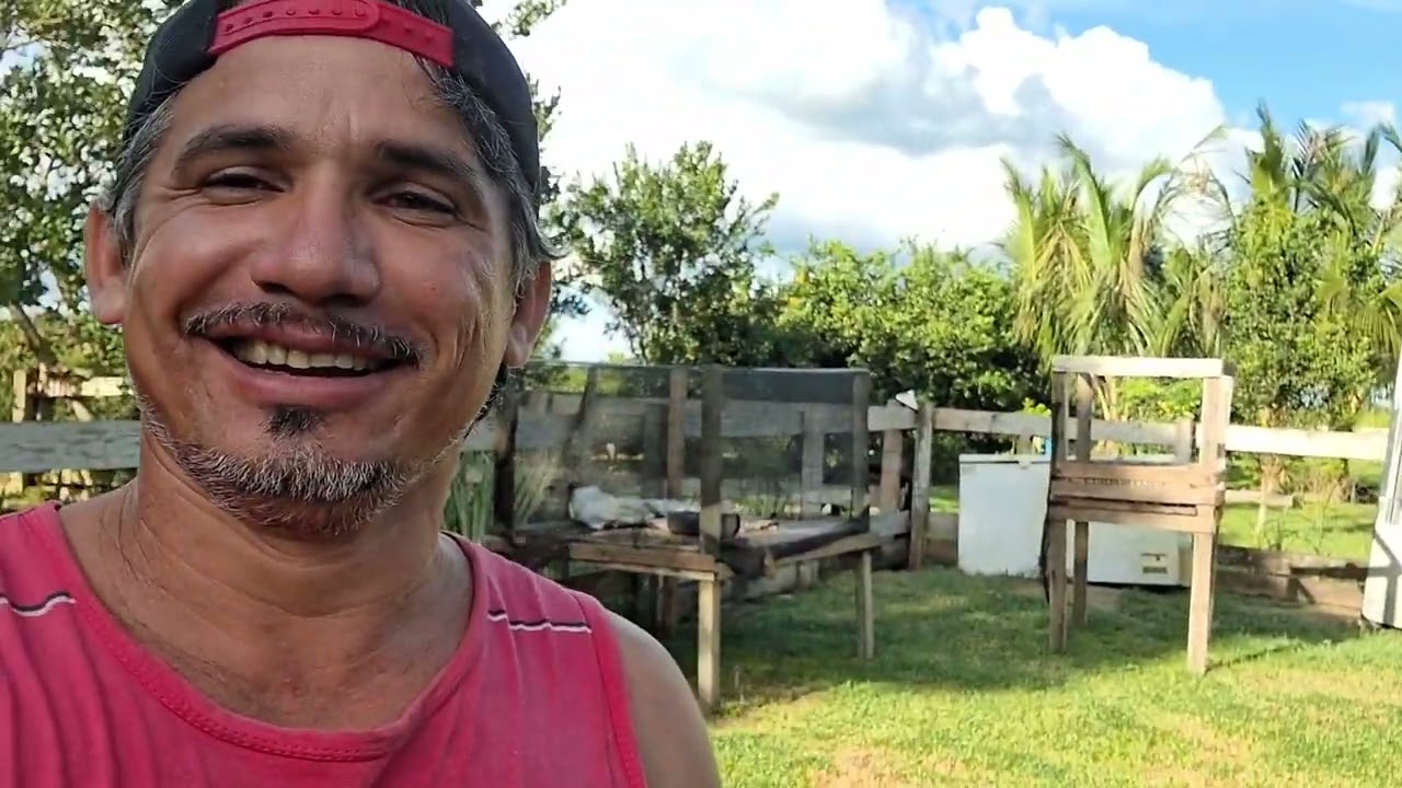 Aqui na fazenda bambu 