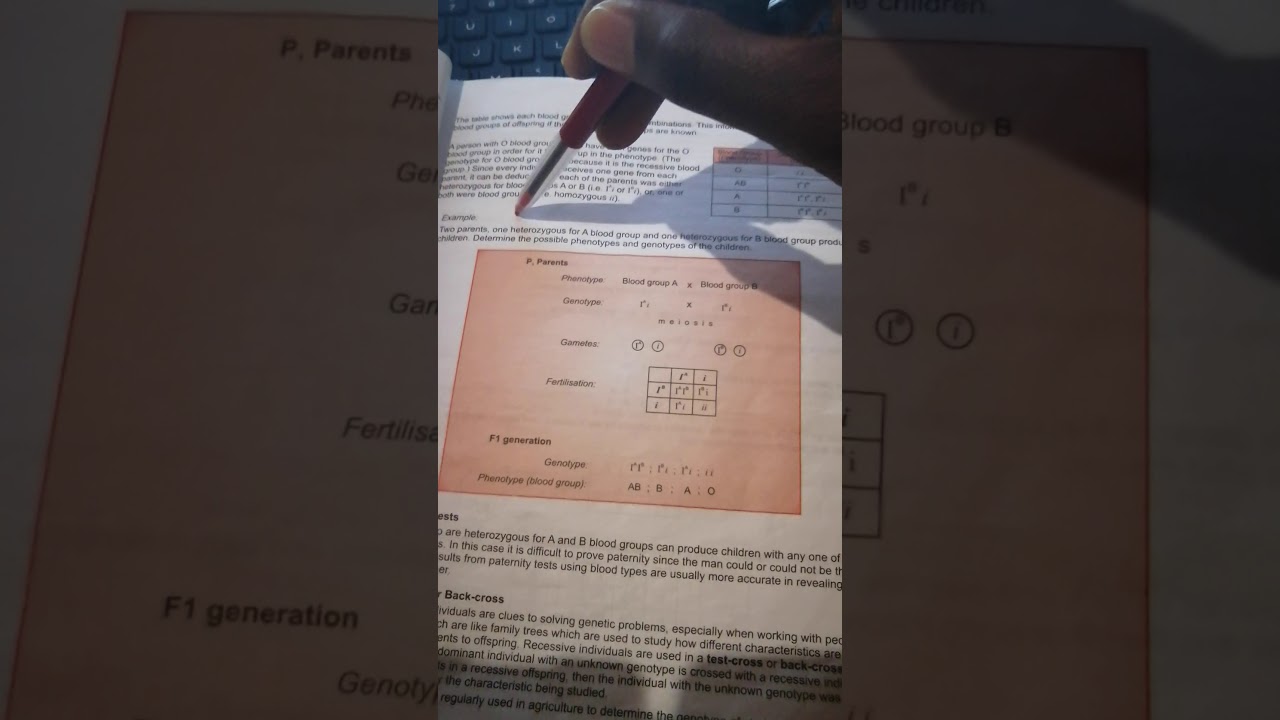 Blood types - Genetics and inheritance grade 12