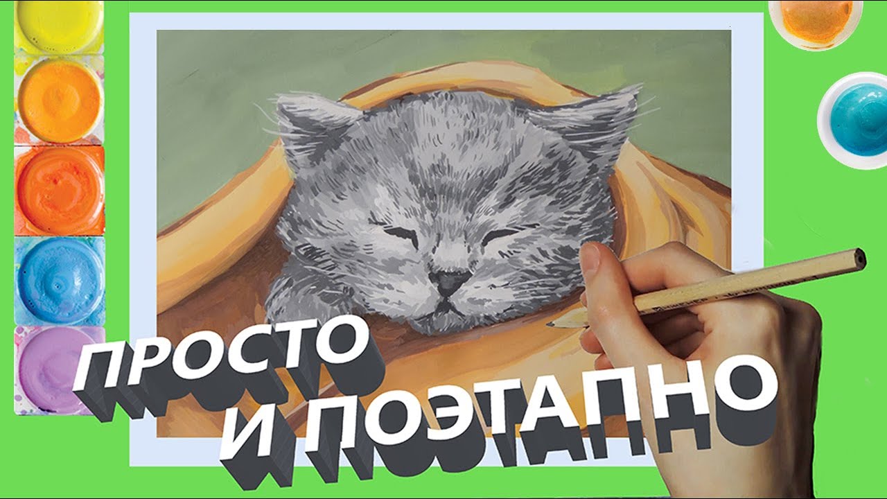 КОТОГАЙД! Как Нарисовать Кошку Для Начинающих. Психология творчества/How To Draw a Cat/SpeedPaint