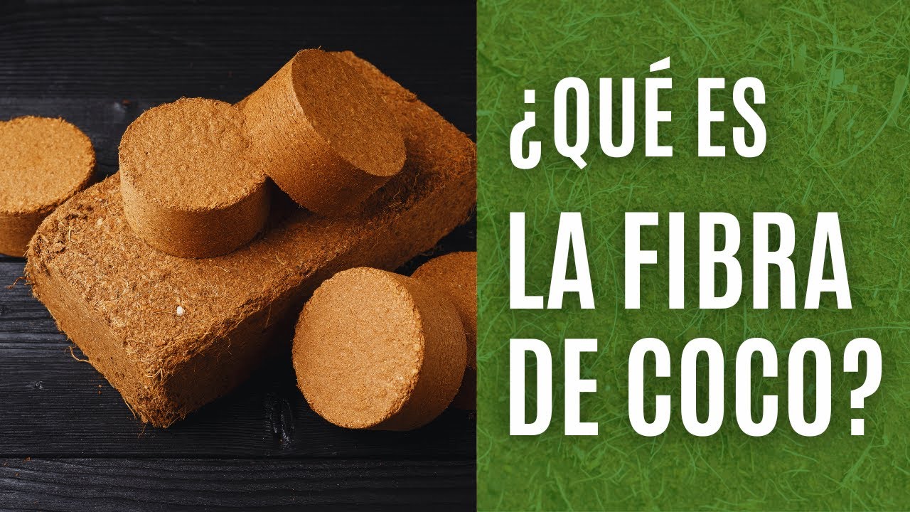 ¿Qué es la fibra de coco y cómo se utiliza?